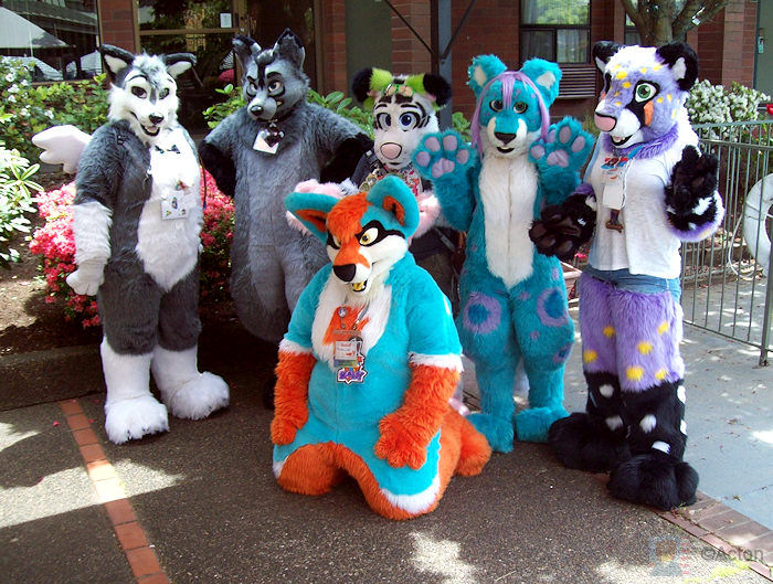 Fursuit-shoot.jpg